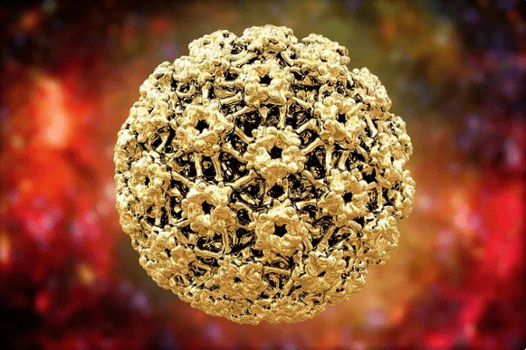 Virus lidského papilomu