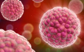 příznaky a léčba lidského papilomaviru